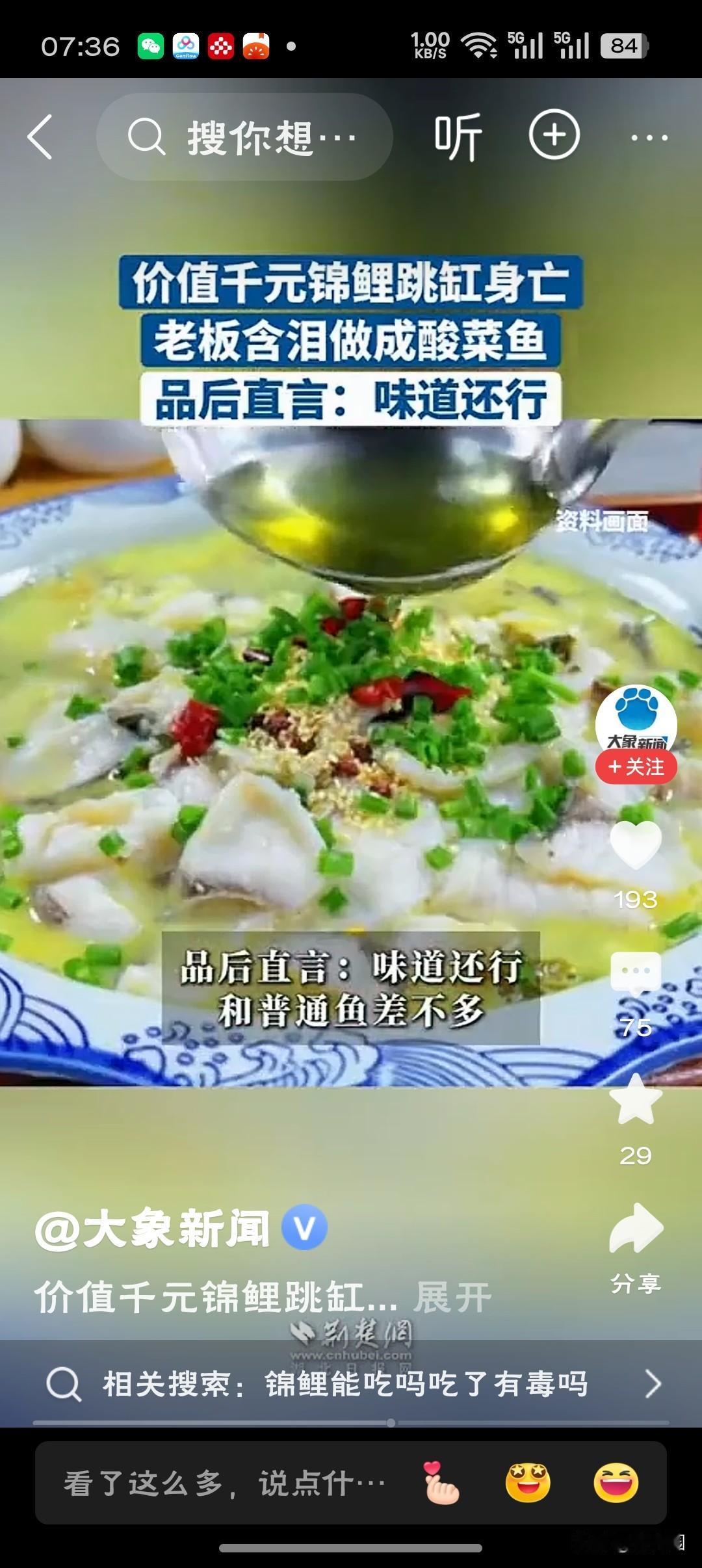 老板含泪做酸菜鱼