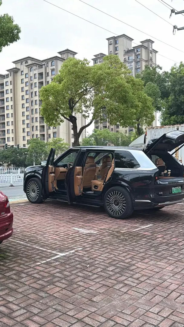 要论豪华性、目前是蔚来es9，理想9系，尊界好像没有9系，还有之前的问界M9立住了，包括极氪9系有点