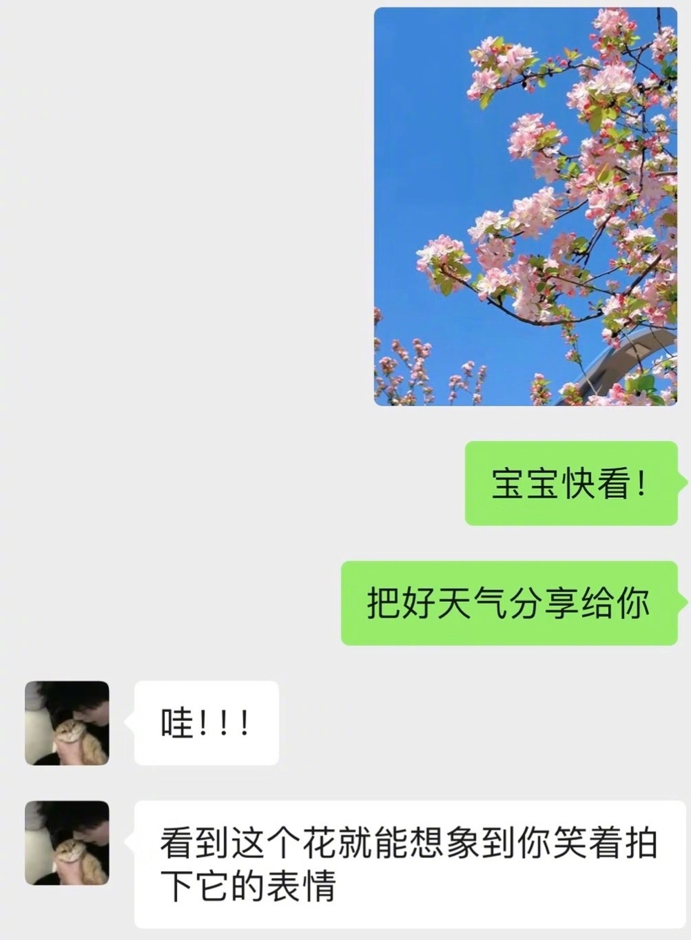 我好像很会谈恋爱