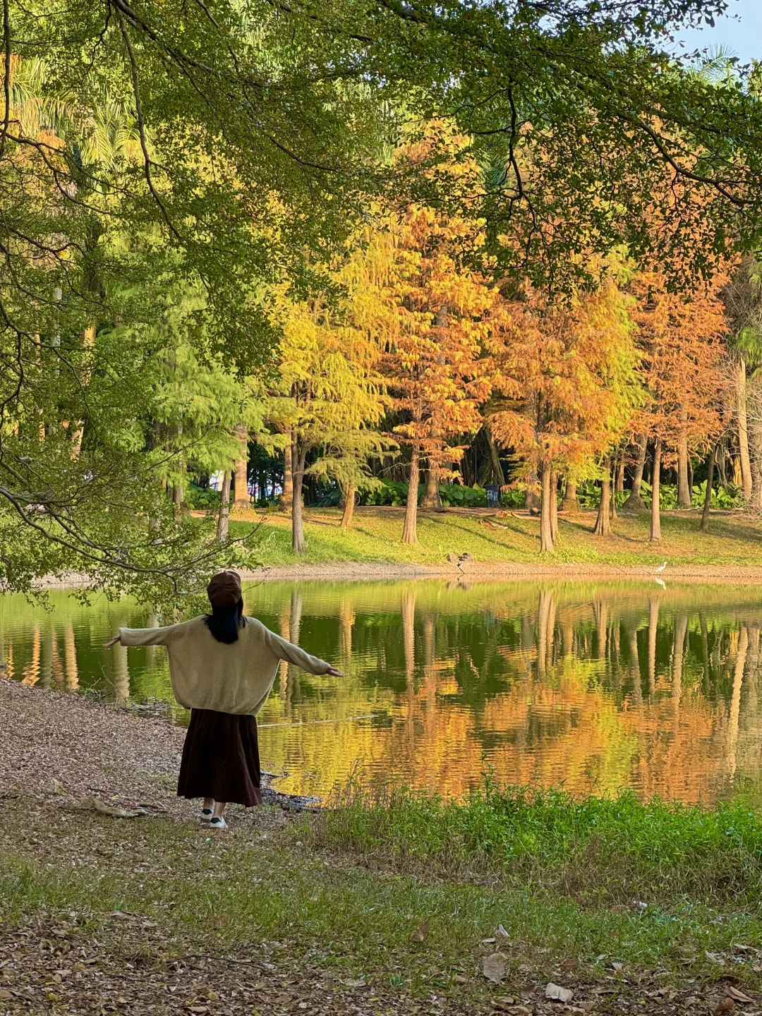 实况live📷广州藏着一个小众治愈的“油画湖”