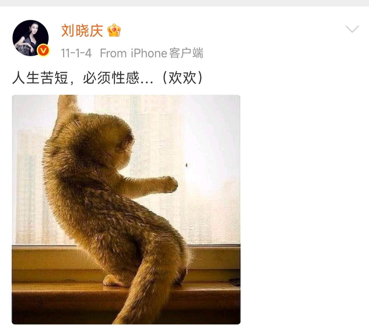 刘晓庆早期微博语录