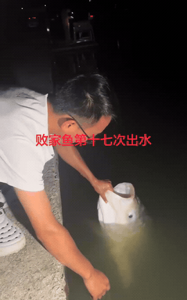 浙江某钓鱼园里有一条60多斤的大鱼，因为好吃已经被钓上来17次了，钓鱼园的老板给