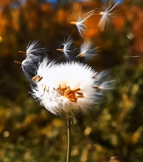 人不可貌相，心应以德量！人不可貌相，才不在张扬！人不可貌相，帅不能当饭！人