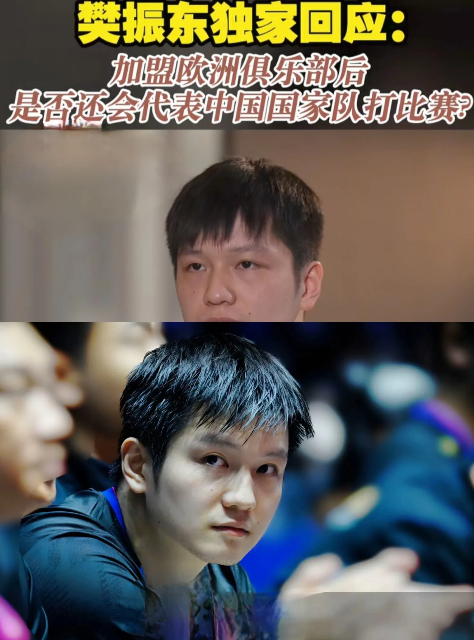 你看人家樊振东这个发言多有深度，真是高情商高智商的人感觉振东真是仁至义尽了。