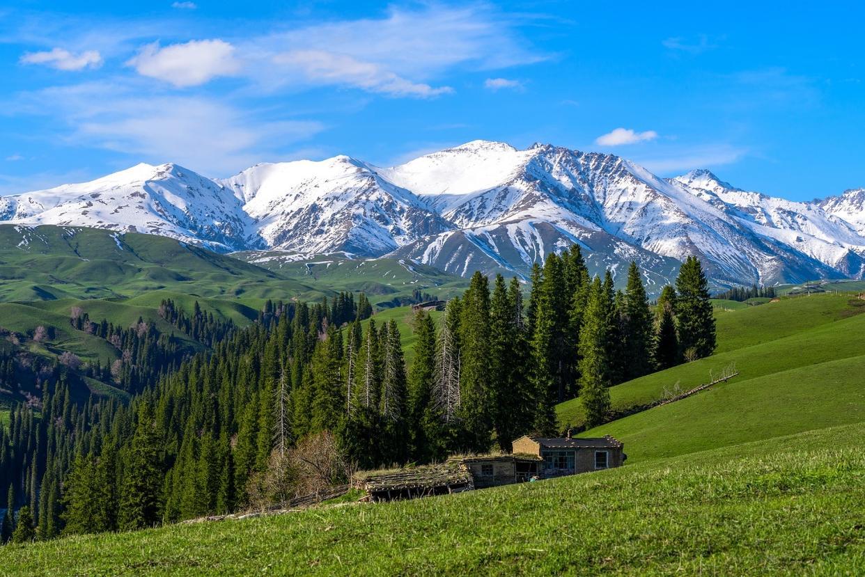 新疆财政表现优异！2026年1-2月，新疆地方财政收入497.3亿元，同比增