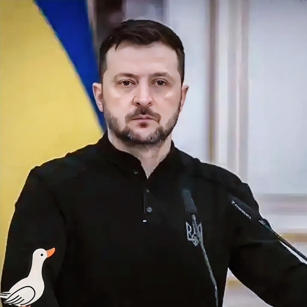 就在刚刚！泽连斯基宣布了！10月29日，泽连斯基在基辅与捷克总理共同出席的新