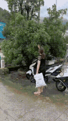 大妈竟然神色自若的捉蛇，令人匪夷所思。
