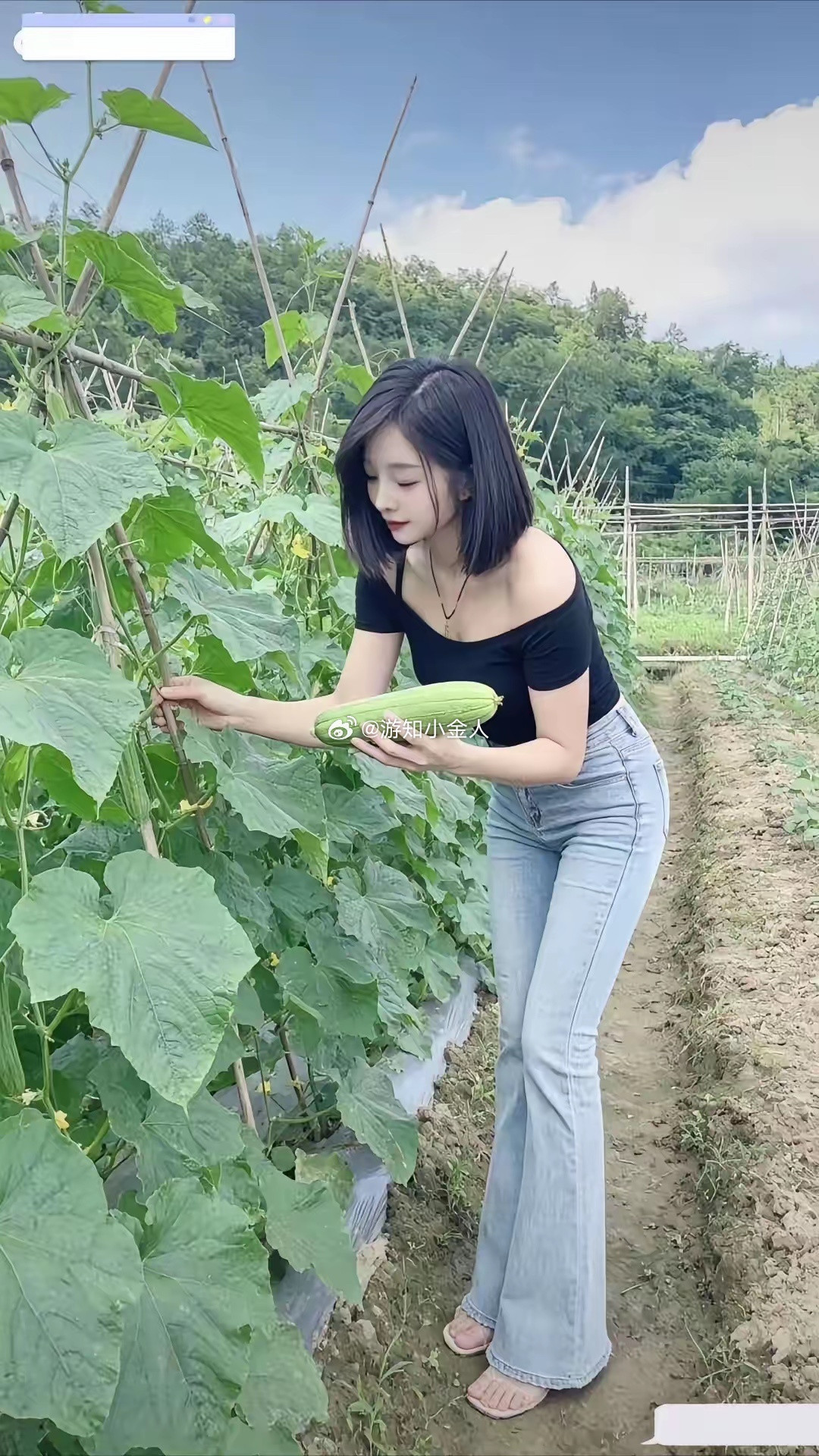 嫁广东吃荔枝嫁河南吃蒜苔嫁浙江吃海鲜嫁贵州吃什么？