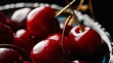 吃不起的水果！车厘子800元一斤？！买个水果差点被天价小票吓出心梗😤12