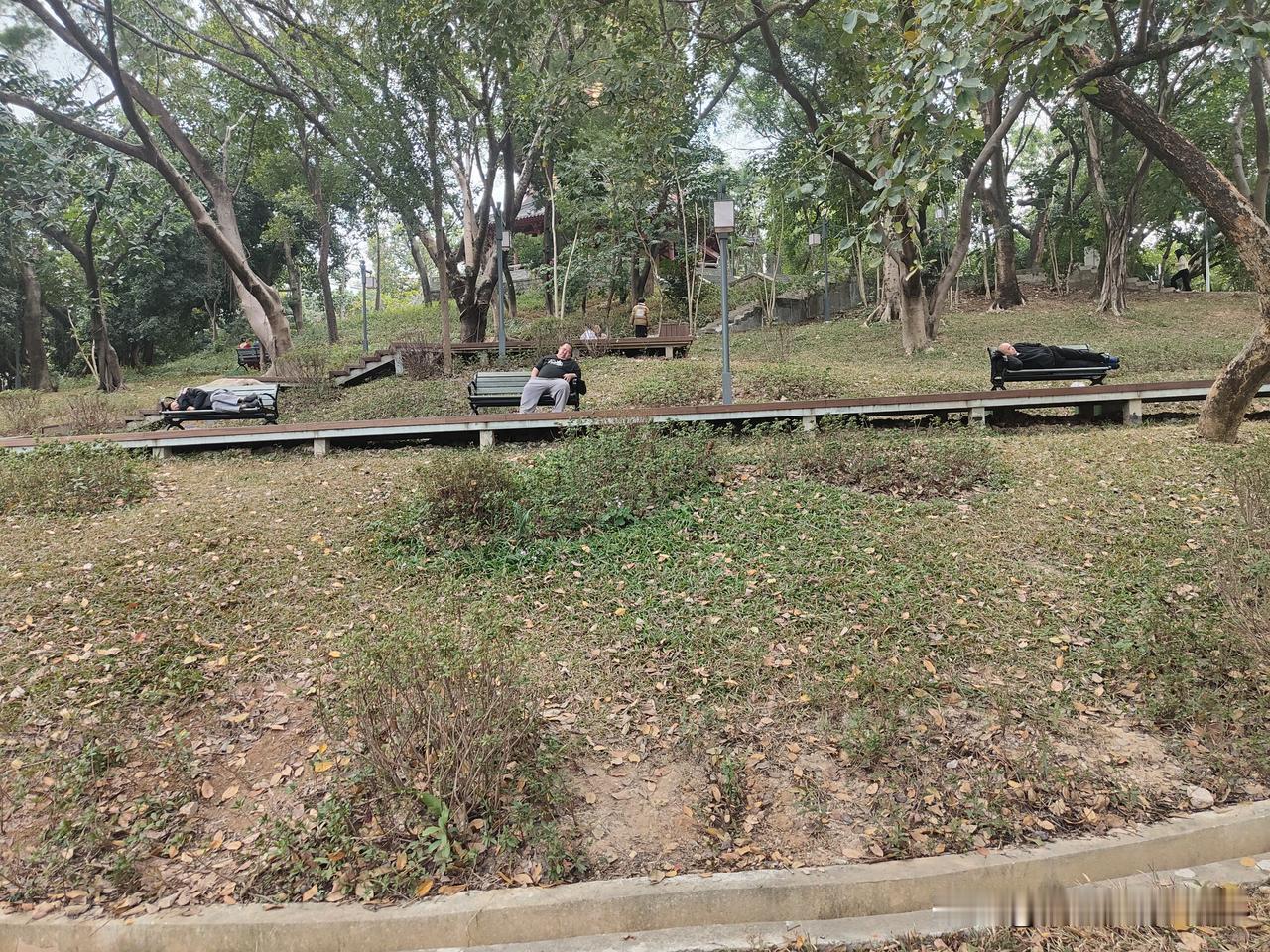 深圳市龙华公园，是市民休闲娱乐场所，看到这一幕，心情有些沉重。希望相关部门持续介