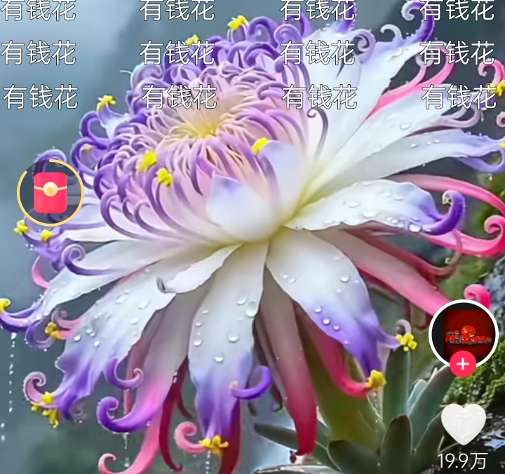 鹿鼎记的韦小宝是我最喜欢的一个角色，小说我翻来覆去看了三遍，陈小春、张卫健、黄晓明几个版本的剧也都刷