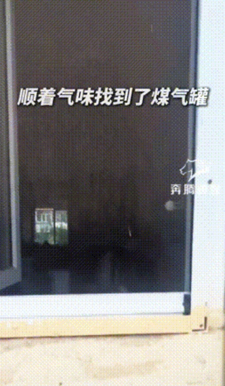 “此子必成大器！”内蒙古，一14岁男孩在小区楼下闻到奇怪味道，在四处寻找来源后，