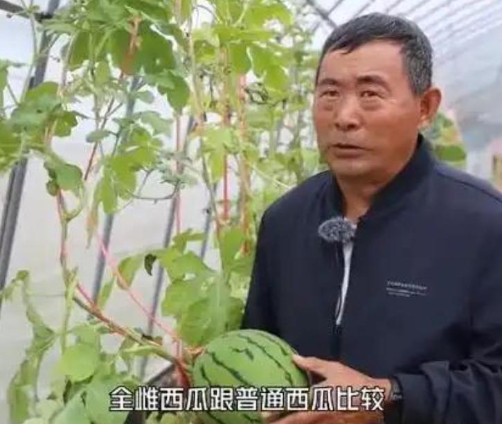 一个不识字、没读过大学的农民，攻克了美日专家十几年都没解开的难题。美国开出300