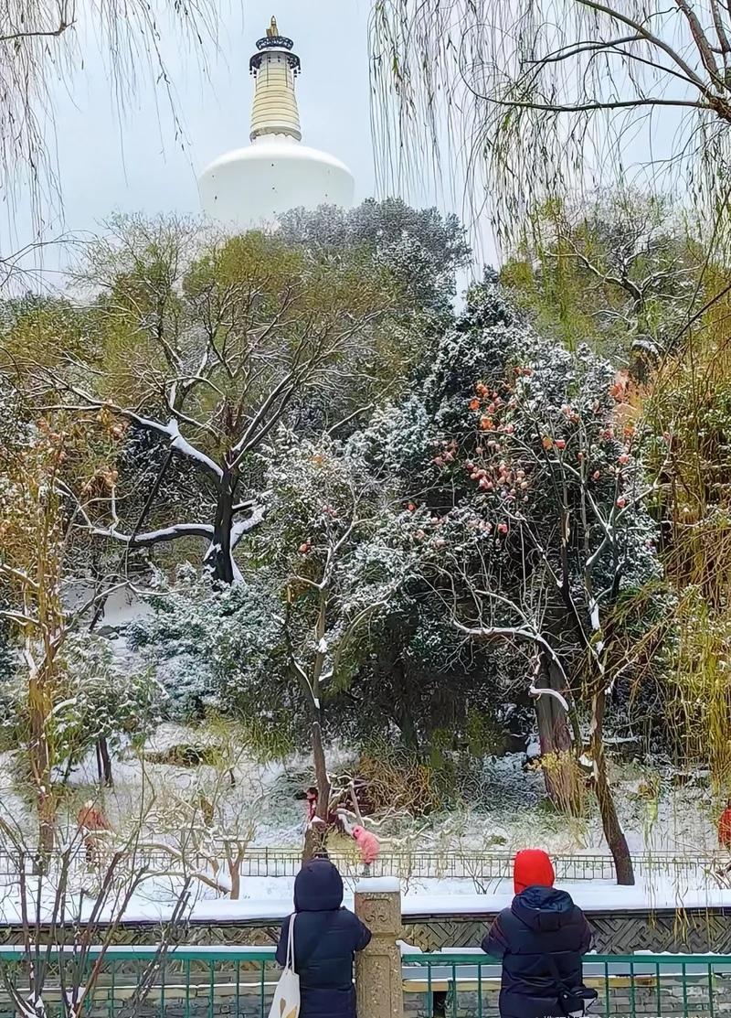 今年冬天的不同北京下雪的时候，景色很美。今年的冬天，你来过北京吗？