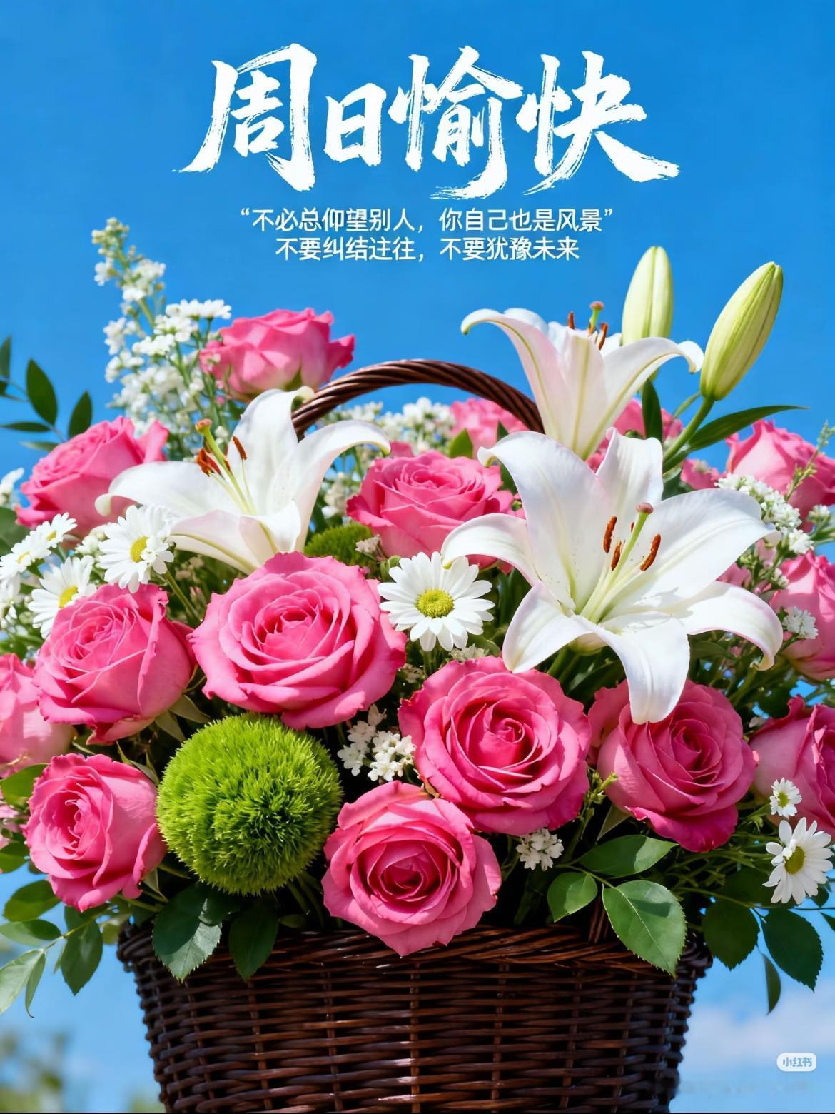 𝗚𝗼𝗼𝗱𝗠𝗼𝗿𝗻𝗶𝗻𝗴周日早安～把闹钟关掉，让阳光当