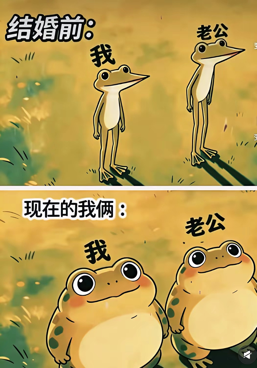 没错，就是我了！！