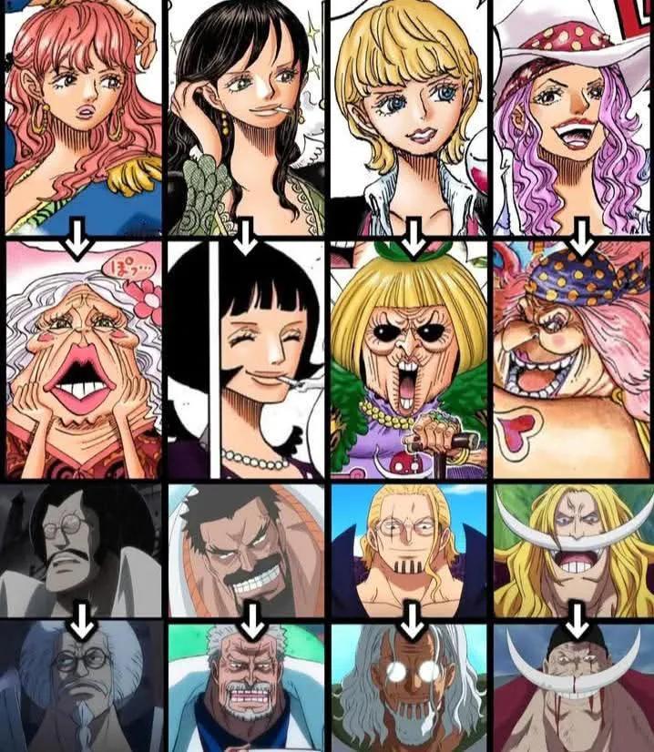 海贼王海贼王上一时代的人变老后......