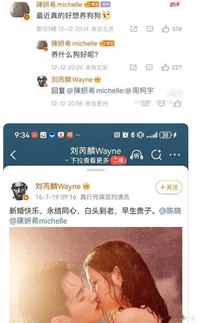 不是你的唯粉，但嗑你的每一任CP。。。