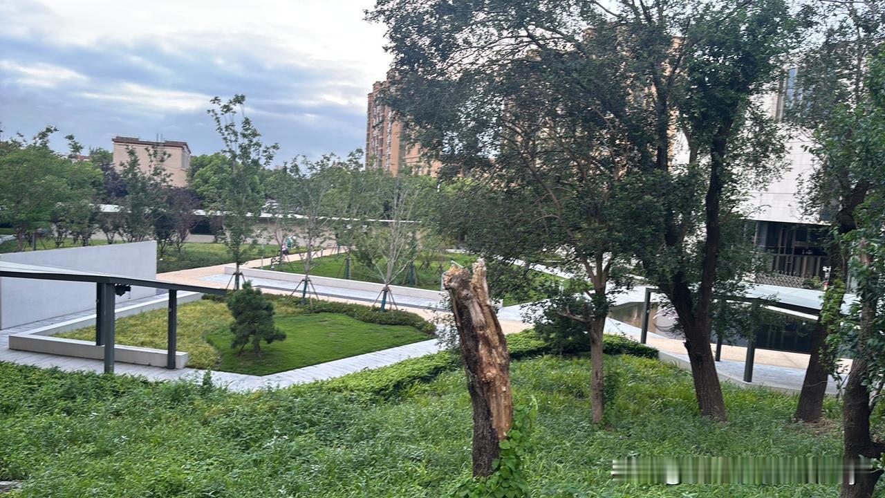 上海有关部门对于市民反映的各种问题，出台相关规定，对于大件废旧物品进行免费回收处