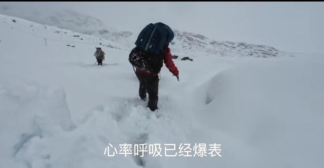 原来徒步珠峰东坡是穷游，只要一万块！具体费用是：过去的路费+160的门票+8