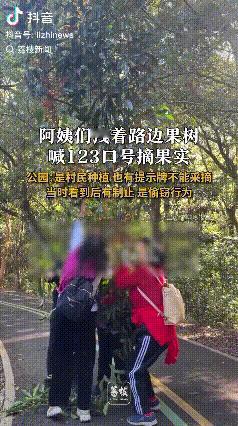 没素质！福建福州，一群大妈在公园路边发现了一颗果树，于是她们就拽着果树喊123口