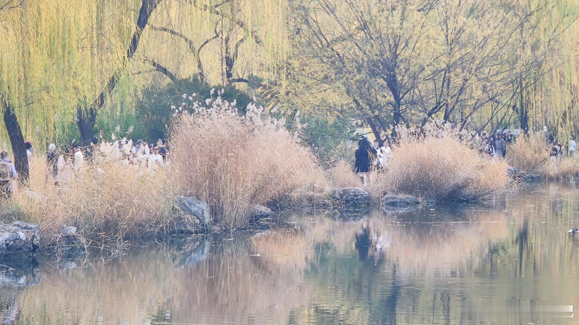  北京初冬，紫竹院公园随拍北京你好摄影