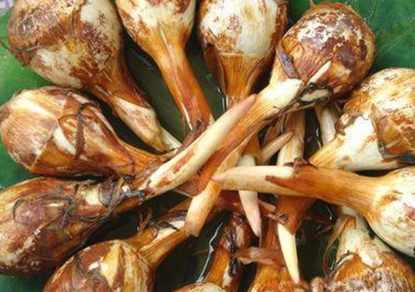 这五种食物你还敢吃吗? 赶紧告诉身边的孕妇