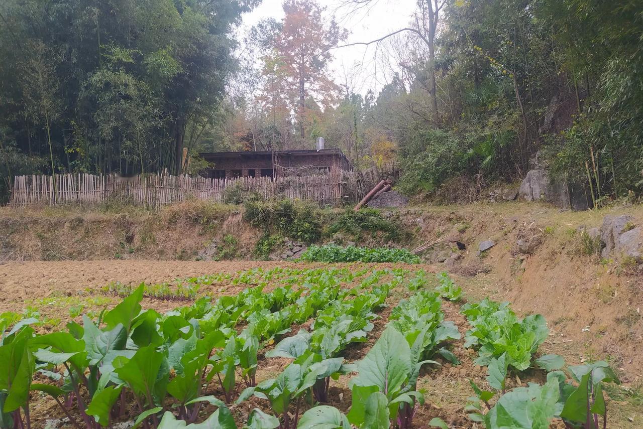 四室一厅小平房，租金一年1000块，外加屋后一座山，屋侧两竹林，屋前还有小田野，