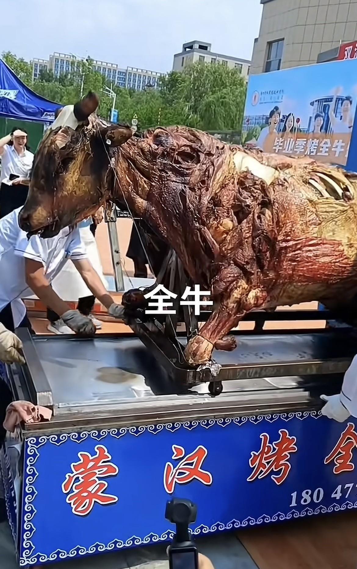 烤全牛，看到这个突然不想吃了，为啥和烤全羊的感觉不一样呢。