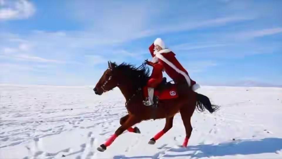 多少人都不愿意相信自己的眼睛、耳朵，但是，“最美副县长/文旅局副局长”贺娇龙还是