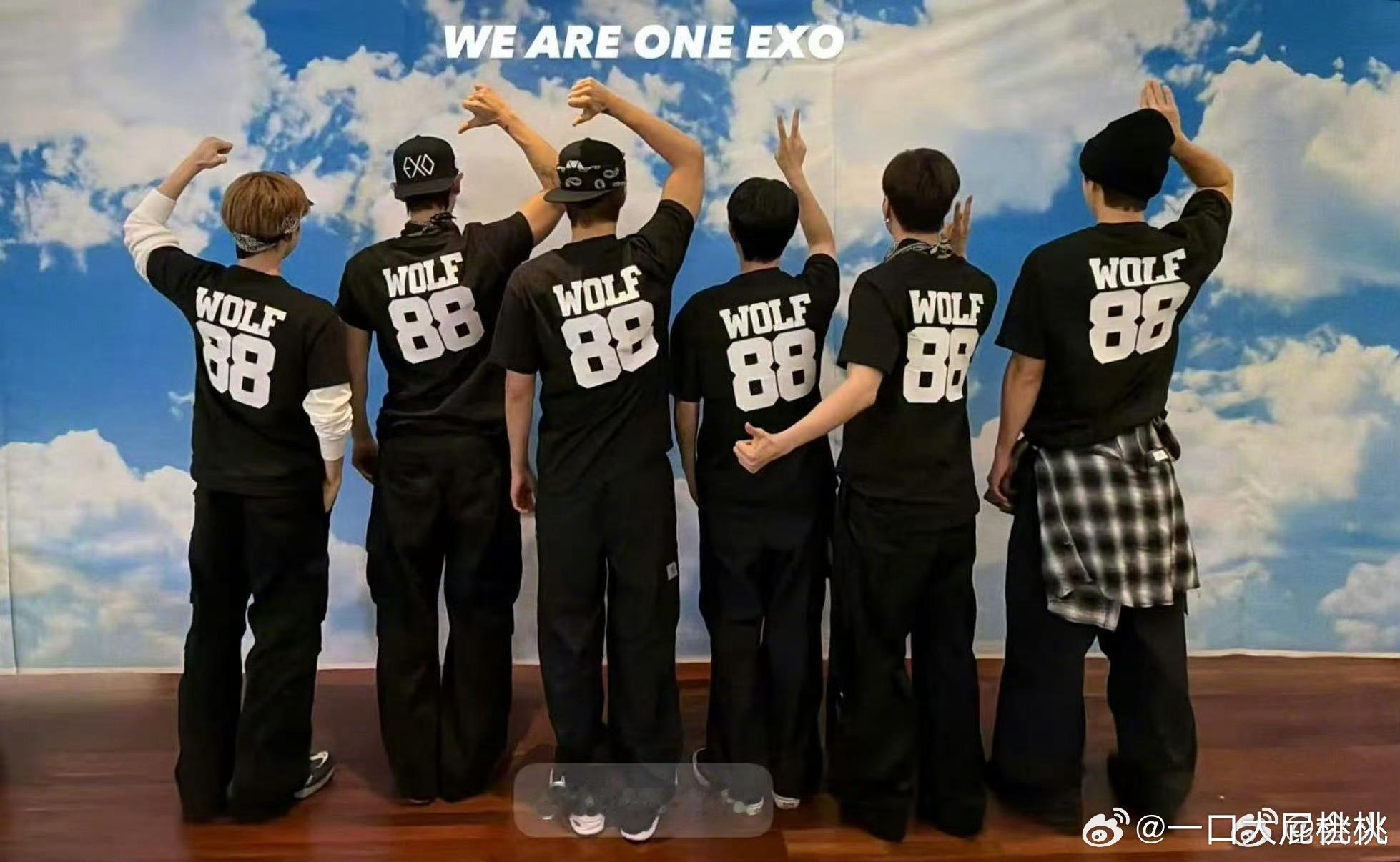 我记得这个背影好像有饼饼吧