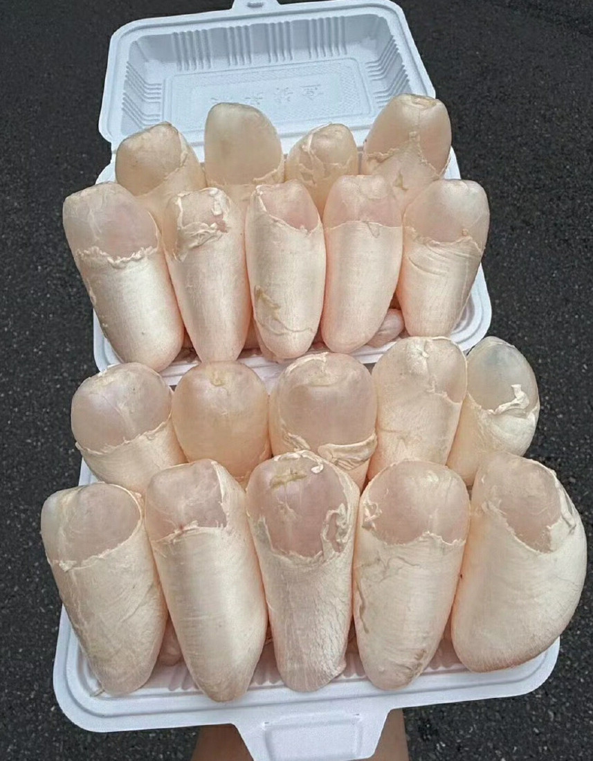 在深圳这叫什么挺好吃的