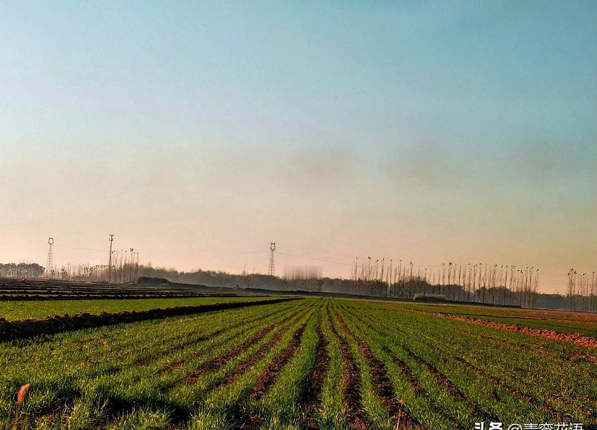 成人的世界，崩溃就在一瞬间。她得带着生病的孩子去办事，可孩子在办公室里吵闹，别