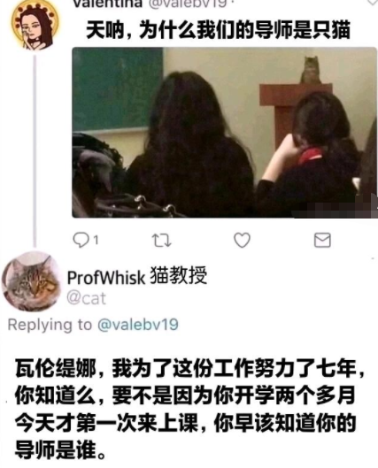 你早该知道你的导师是谁