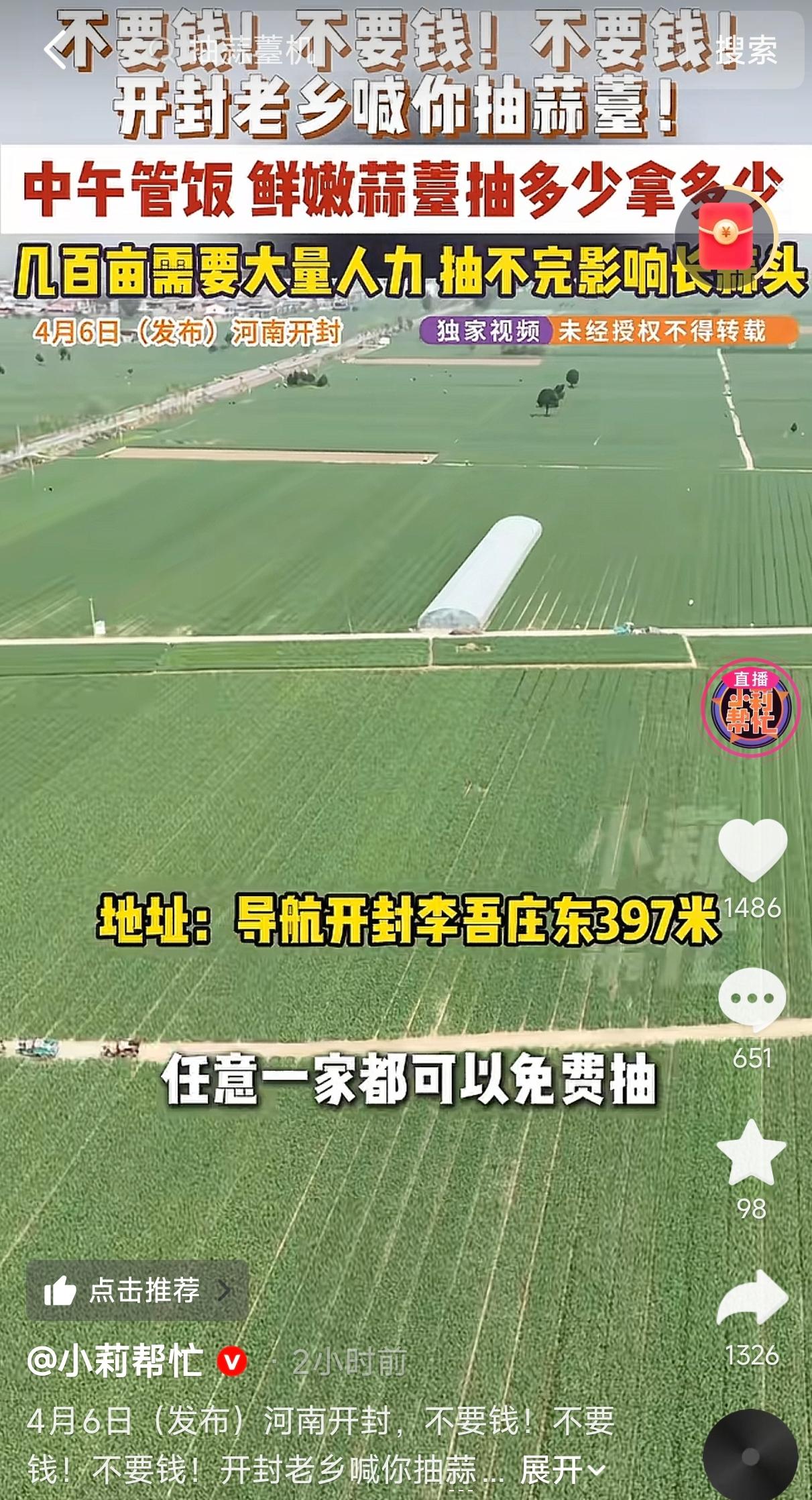 人怎么这么聪明！河南开封，一男子种了几百亩地的大蒜，由于种的太多了，蒜薹抽的速度