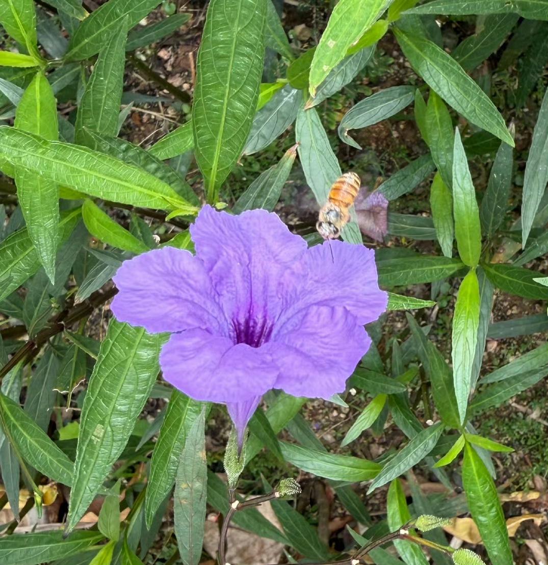 经济寒冬里，能稳住情绪的人，才熬得到春天你是不是也有这种感觉？最近钱包紧了