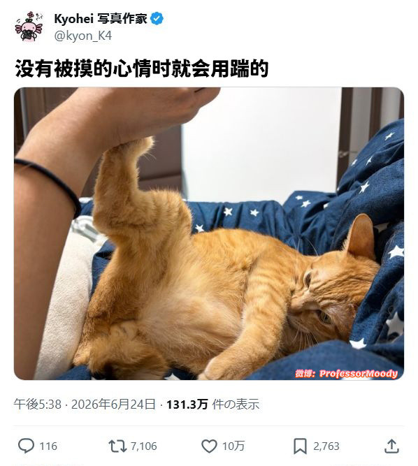 🐱：有点累（踹meme