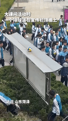 "解释不清了！"山东菏泽，一男生课间活动抛排球，一不小心落在宣传栏顶棚上，接下