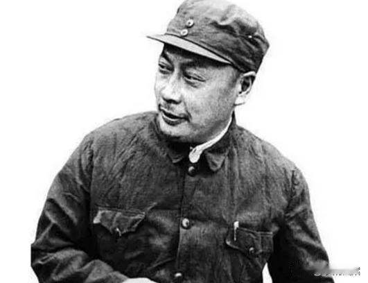 1963年，陈毅在成都街边溜达，一个扎着羊角辫的小姑娘忽然挡住他，抬着头问：你是