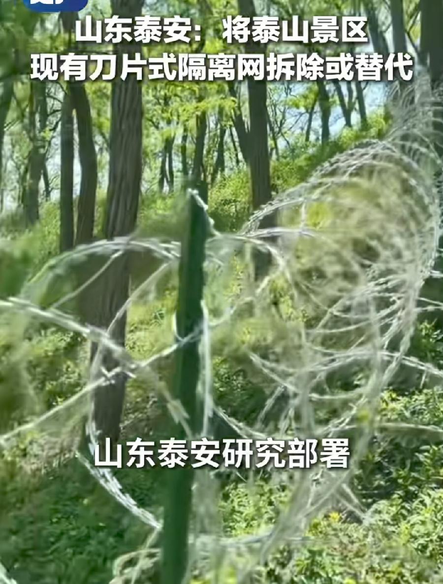 泰山刀片网要拆了，2519万就这么拆了？135公里，1公里近20万，1米200块