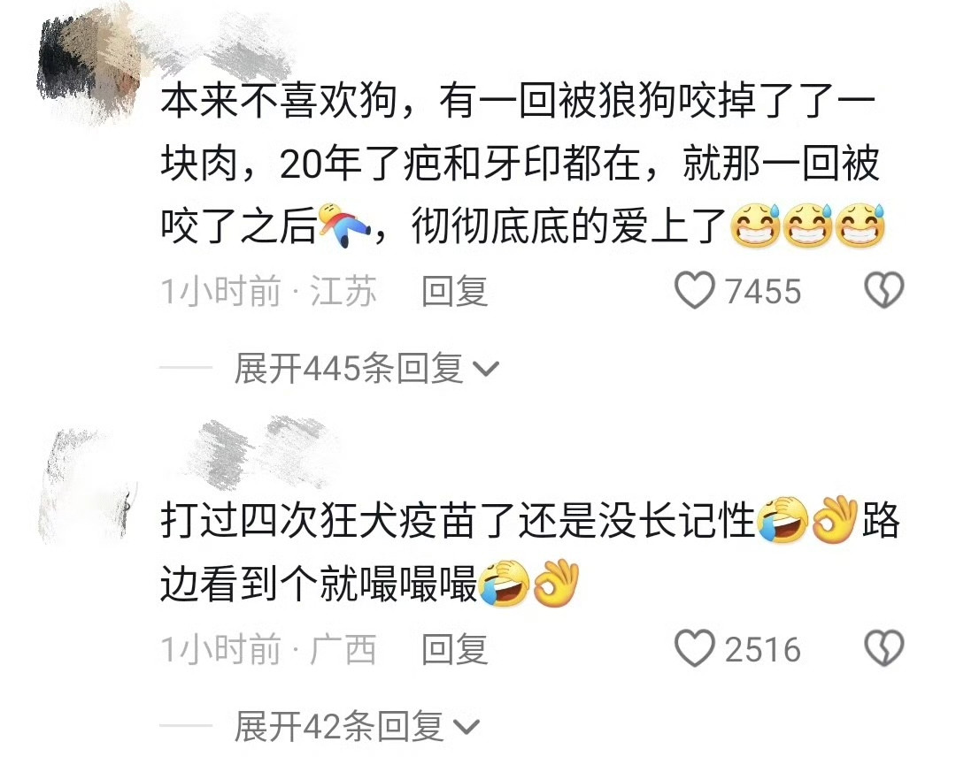 第一次摸狗的反应