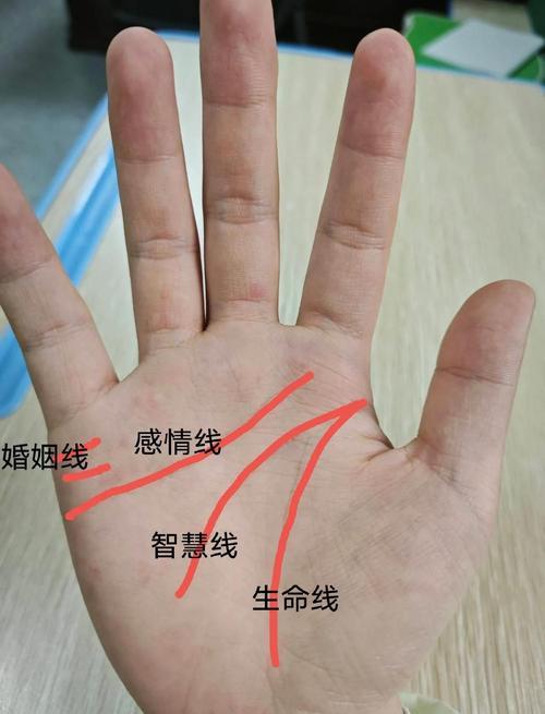 十种罕见掌纹，尤其三条主线，对我们人生起着至关重要的作用，看看你有没有？掌纹