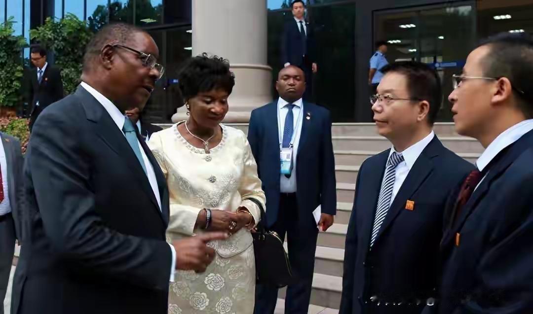 非洲小国马拉维突然打响“锁矿”第一枪，总统签署行政令即刻禁止锂、稀土等11类原矿