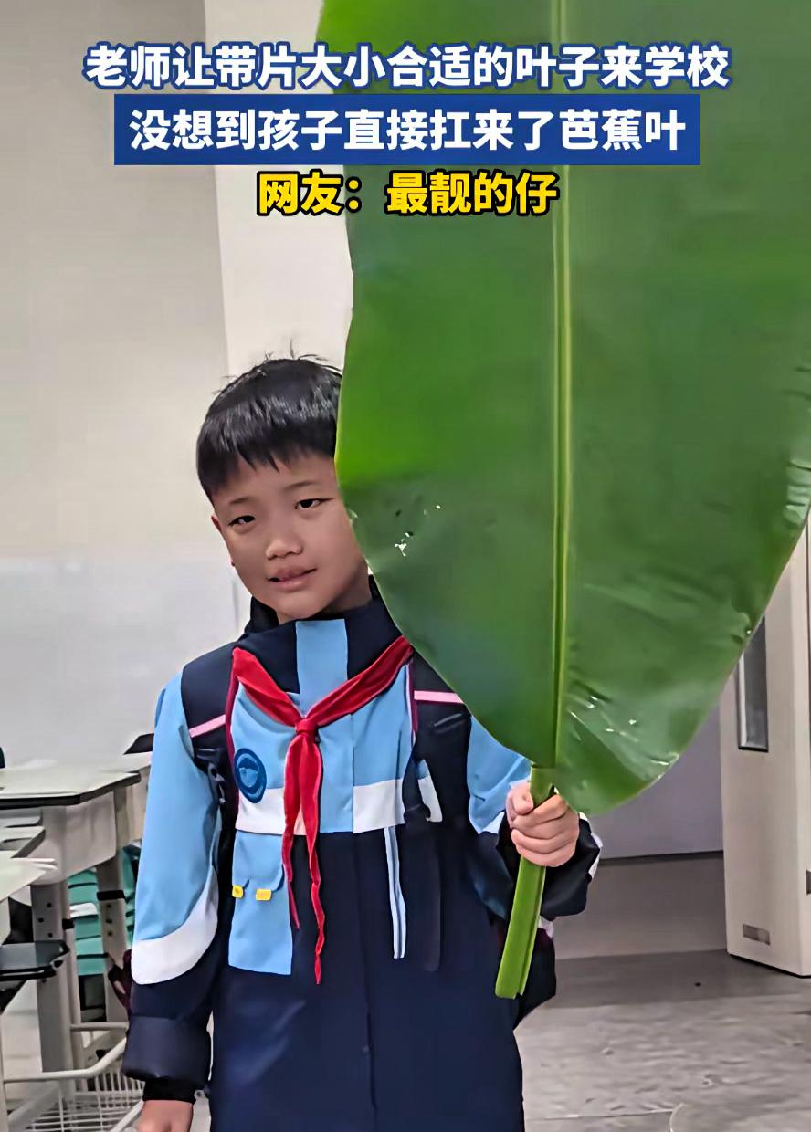 四川，一老师给同学安排任务，让他们自己找片叶子上课用，可没想到，一个小男孩竟然直