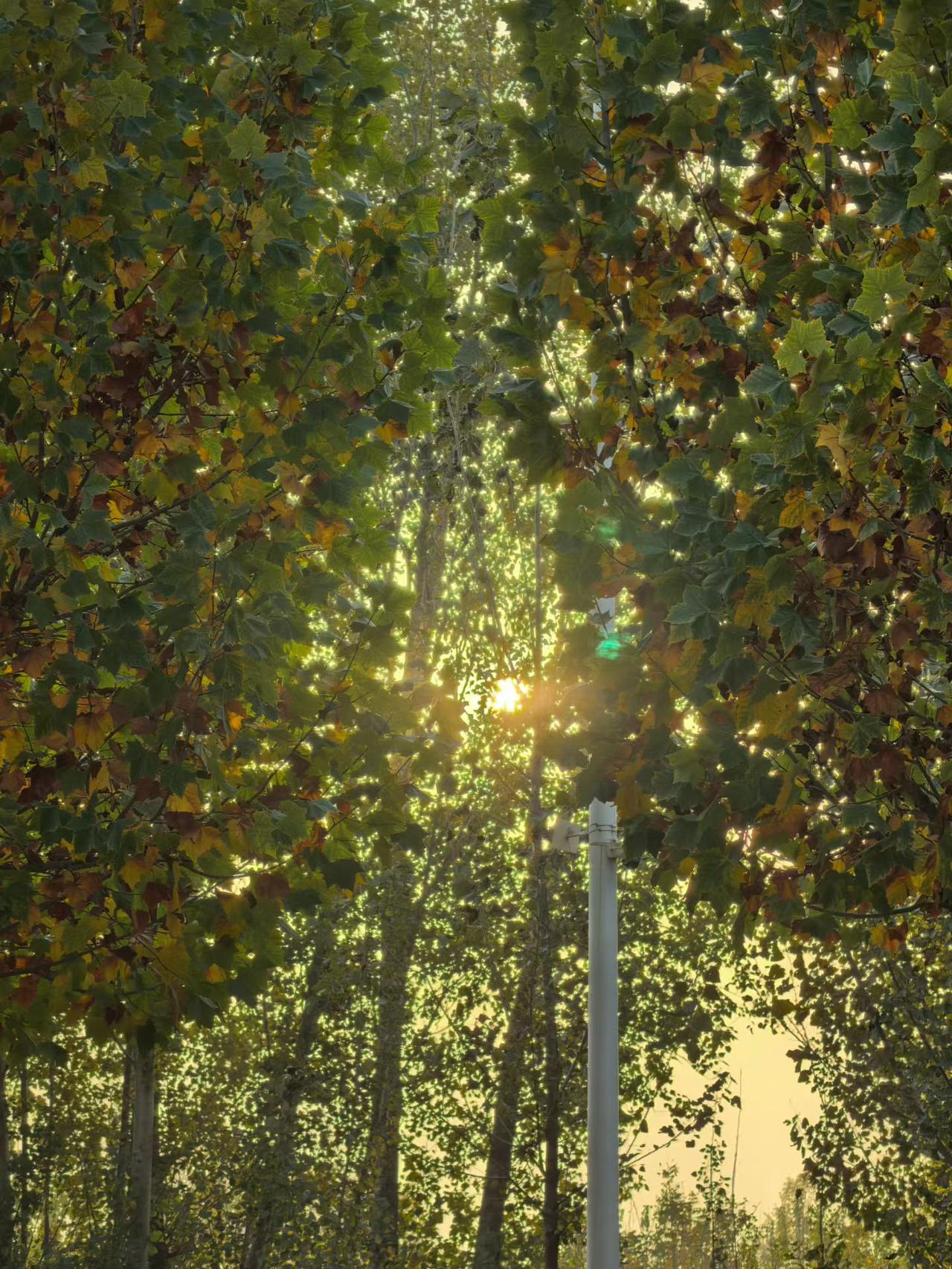 有时候躺在床上就会不自觉的回忆起，自己上高中的时光，高一班主任常在嘴边说到要学会