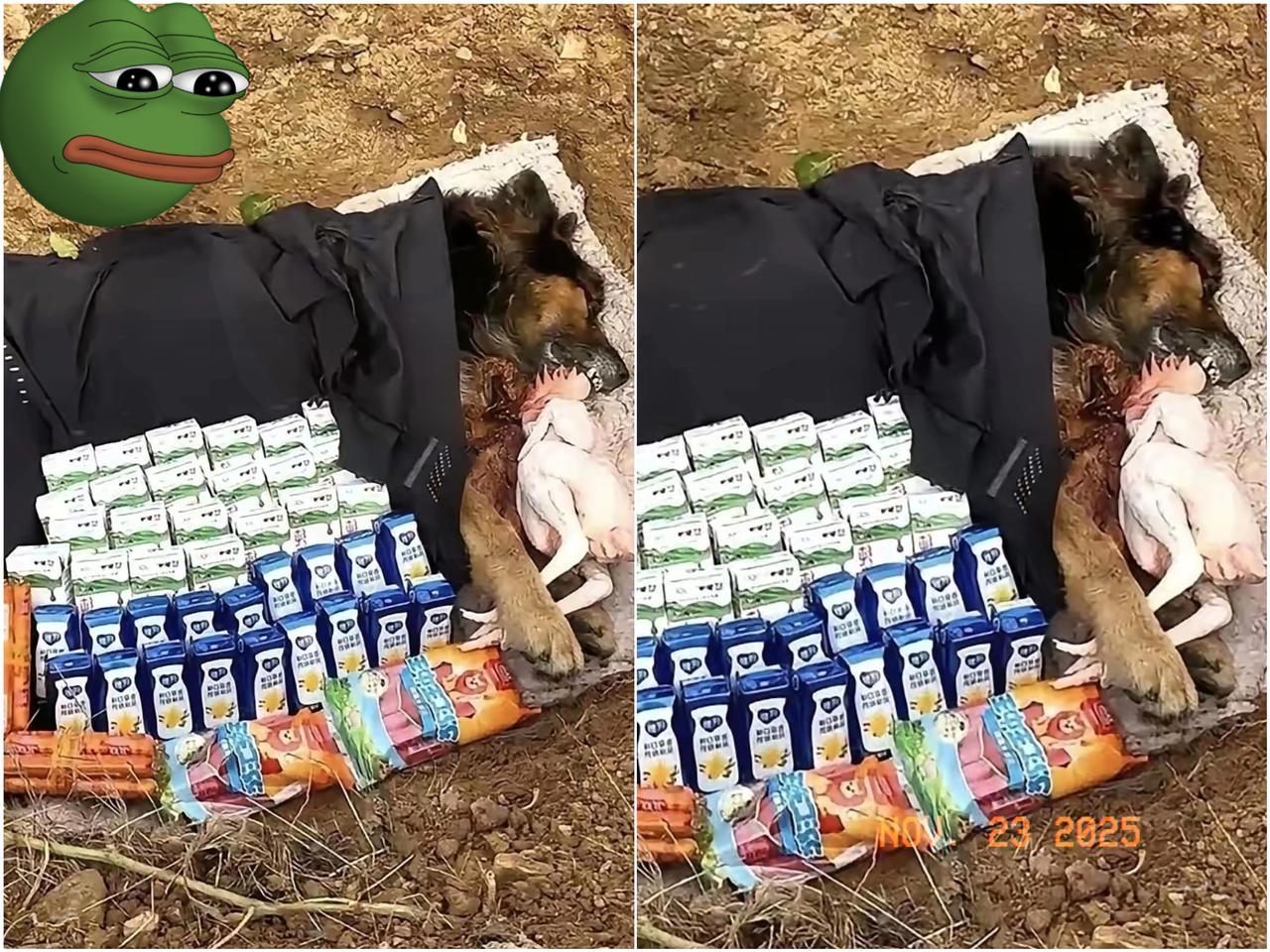 河南一男子的狗狗死了。挖了个坑，弄了几包火腿肠、两箱牛奶，外加一只大公鸡当陪葬