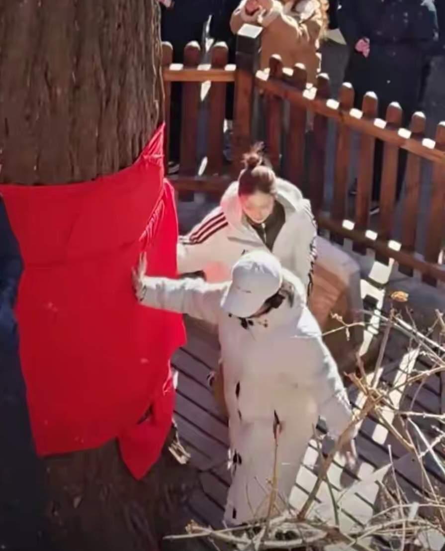 辽宁丹东大孤山最近有点热闹，有网友偶遇金晨来逛景区。她穿白色羽绒服、丸子头，一身