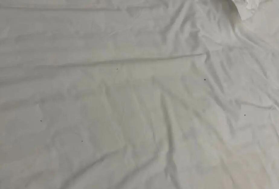 7月26号深夜，内蒙古呼伦贝尔一名旅客入住某酒店，一进被窝吓坏了，到处都是黑色的