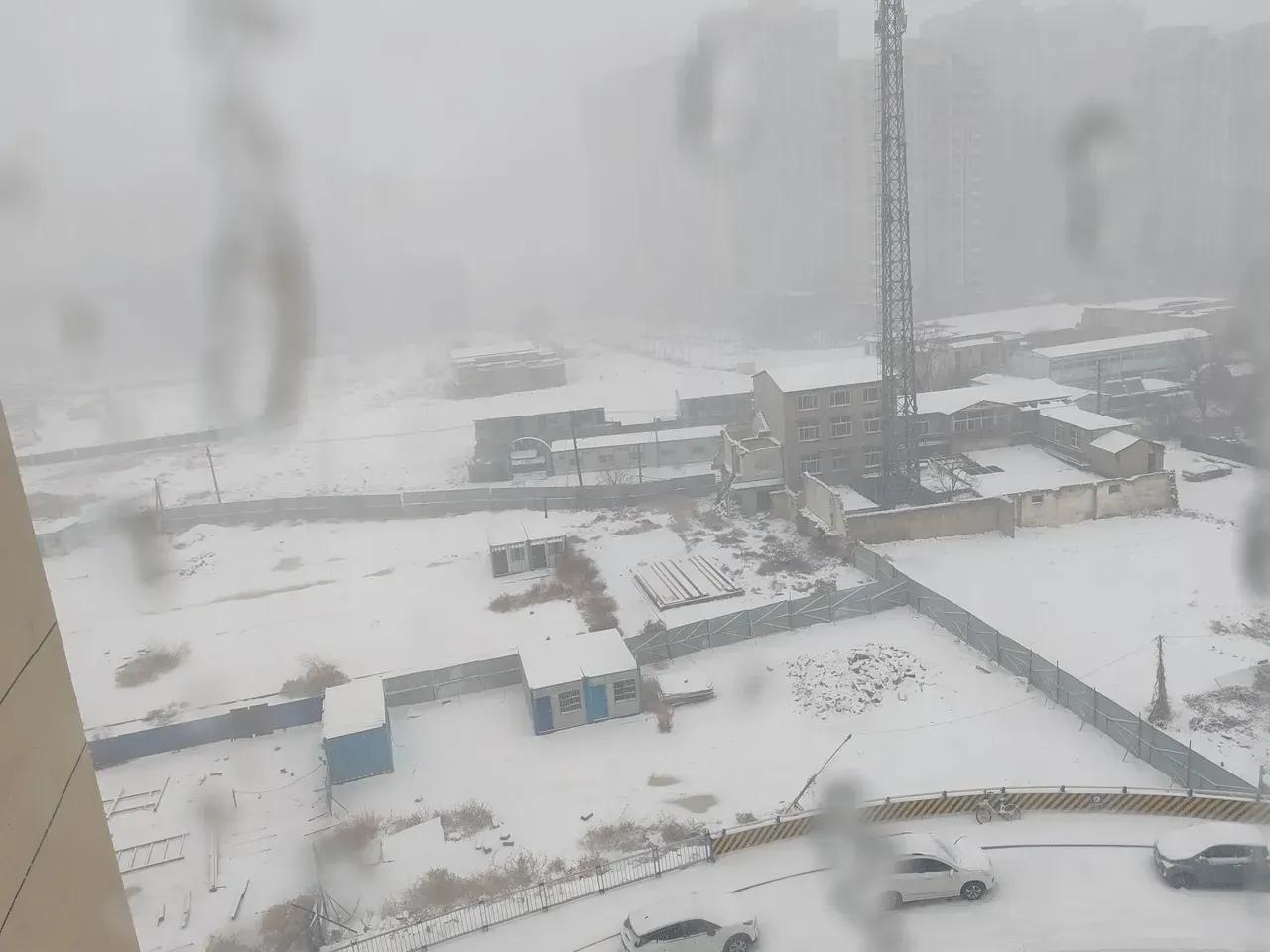 2025年3月2日，济南迎来了一场罕见的大雪天气。受强冷空气和气旋共同影响，济