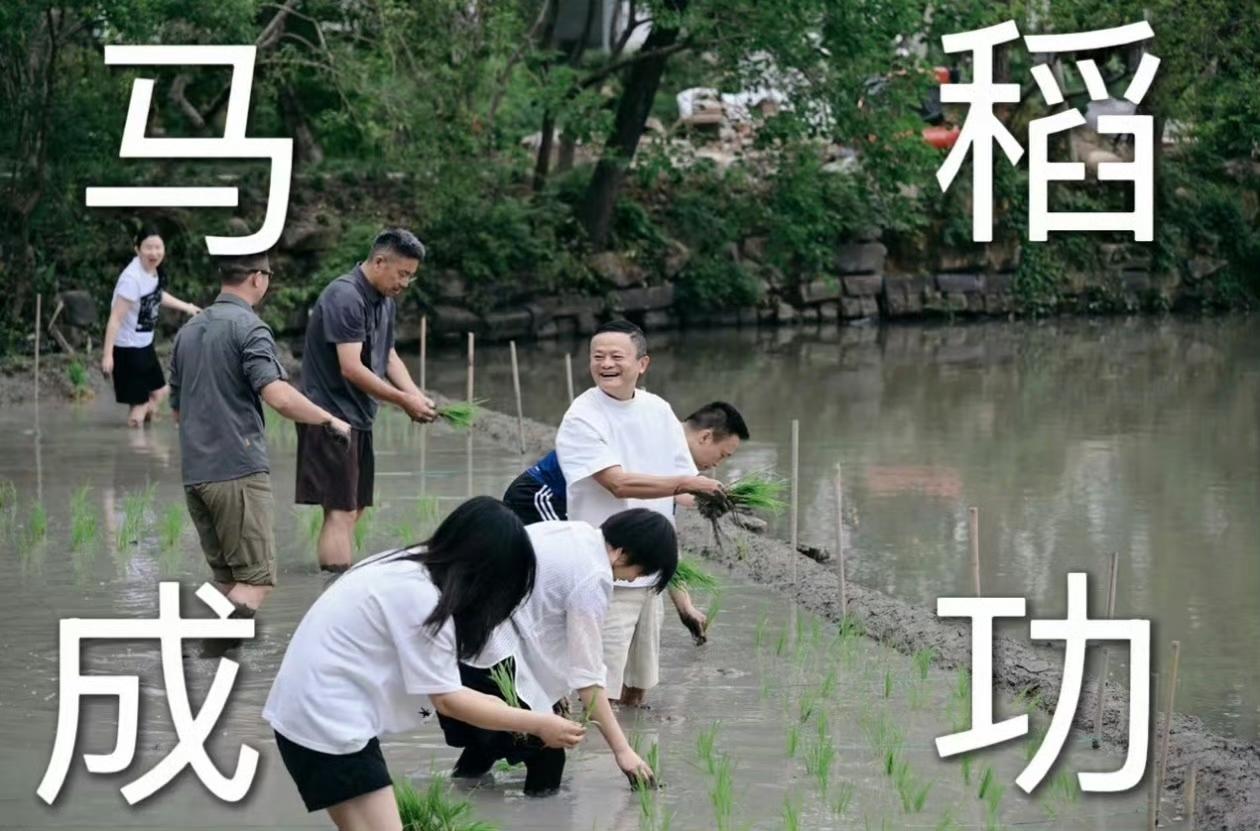 马云带着一帮阿里高管跑到乡下去种田，这真的是闲的蛋疼。阿里内部更是发布了马屁文：